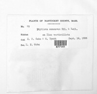 Image Associated With the Occurence